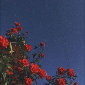 Meet your Posher, Chloe